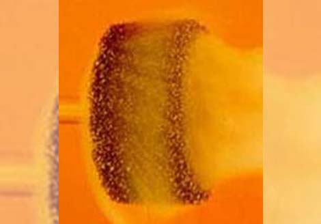 catalysis_clip Catalysis Clip