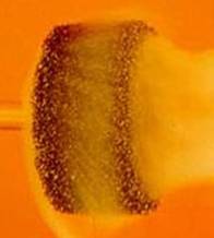 Gas moving through Ultramet catalyst support, showing excellent mixing and low pressure drop